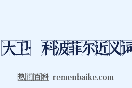 大卫·科波菲尔近义词是什么意思的图片